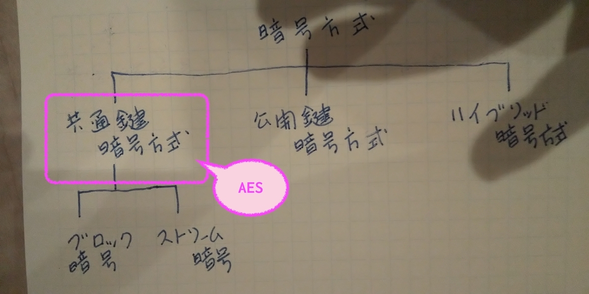 f:id:ponsuke_tarou:20210413225125j:plain