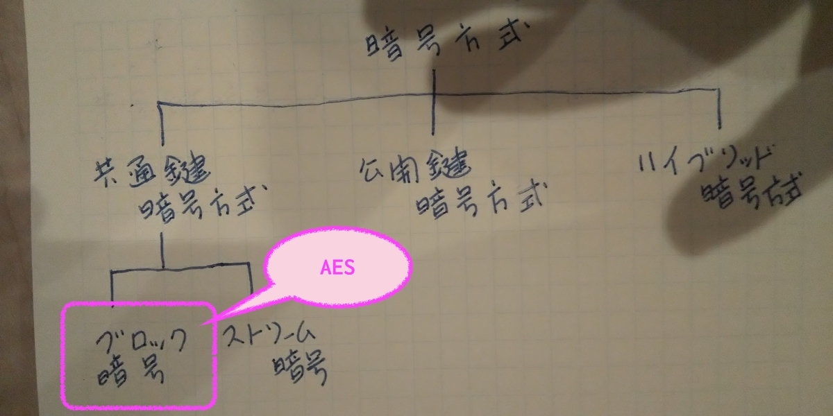 f:id:ponsuke_tarou:20210413225305j:plain