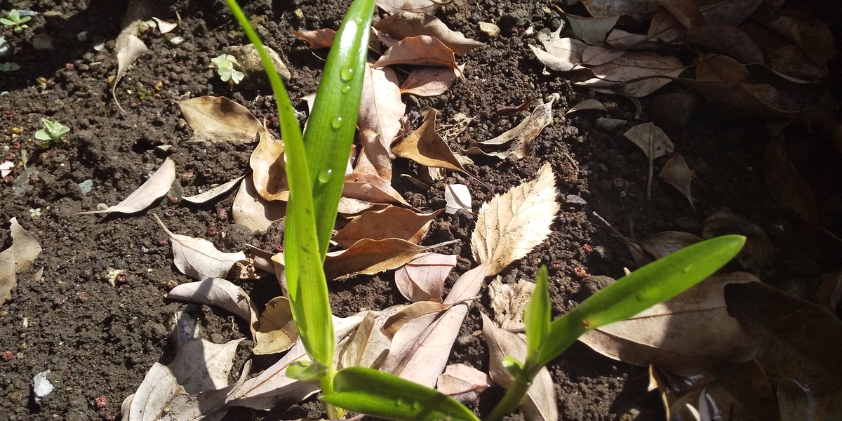 f:id:ponsuke_tarou:20220315200739j:plain