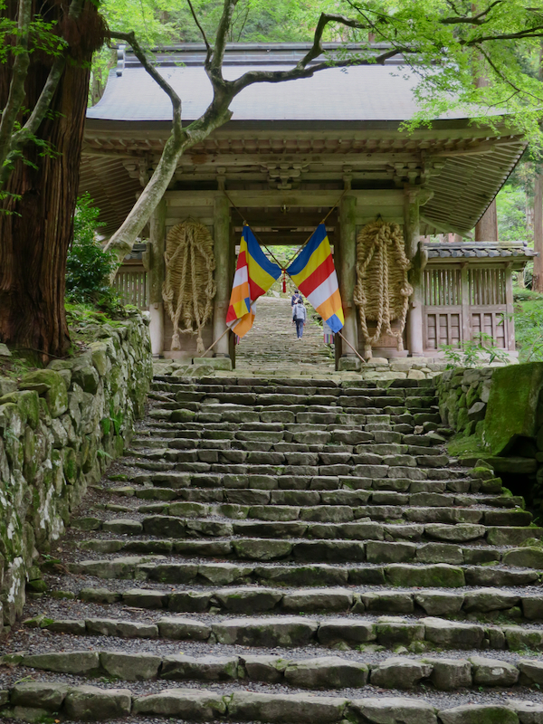 湖東三山・百済寺の秘仏・御本尊十一面観世音菩薩（植木観音）御開帳
