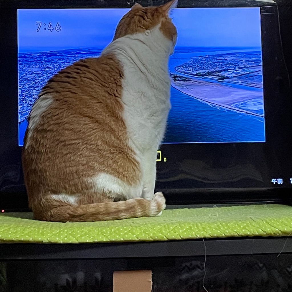 f:id:pontahouse:20210312170848j:image