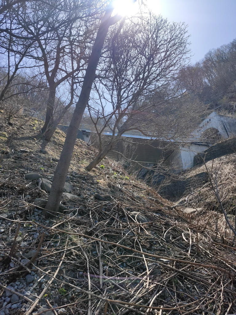 f:id:pontukux:20210423174500j:plain