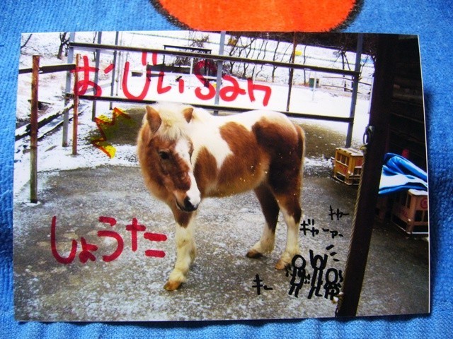 f:id:pony-yasu:20180815170835j:image f:id:pony-yasu:20180815170835j:image