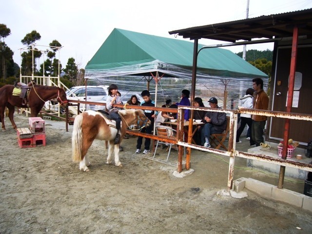 f:id:pony-yasu:20180816055732j:image f:id:pony-yasu:20180816055732j:image
