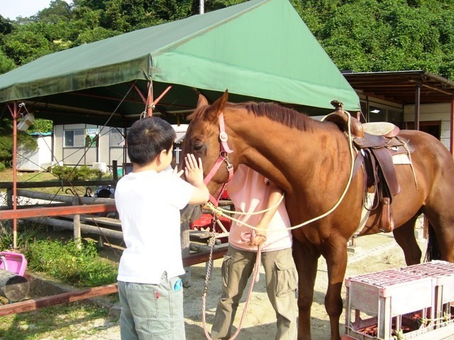 f:id:pony-yasu:20190114092624j:plain f:id:pony-yasu:20190114092624j:plain