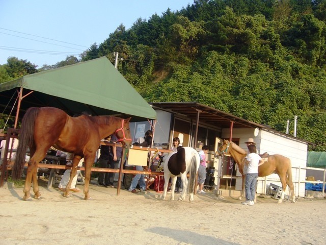 f:id:pony-yasu:20190114092631j:plain f:id:pony-yasu:20190114092631j:plain