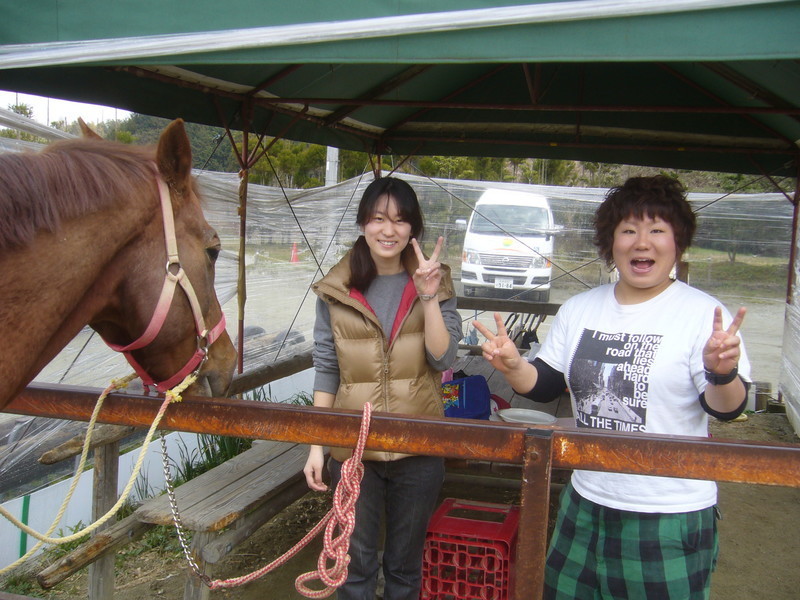 f:id:pony-yasu:20190114092651j:plain f:id:pony-yasu:20190114092651j:plain