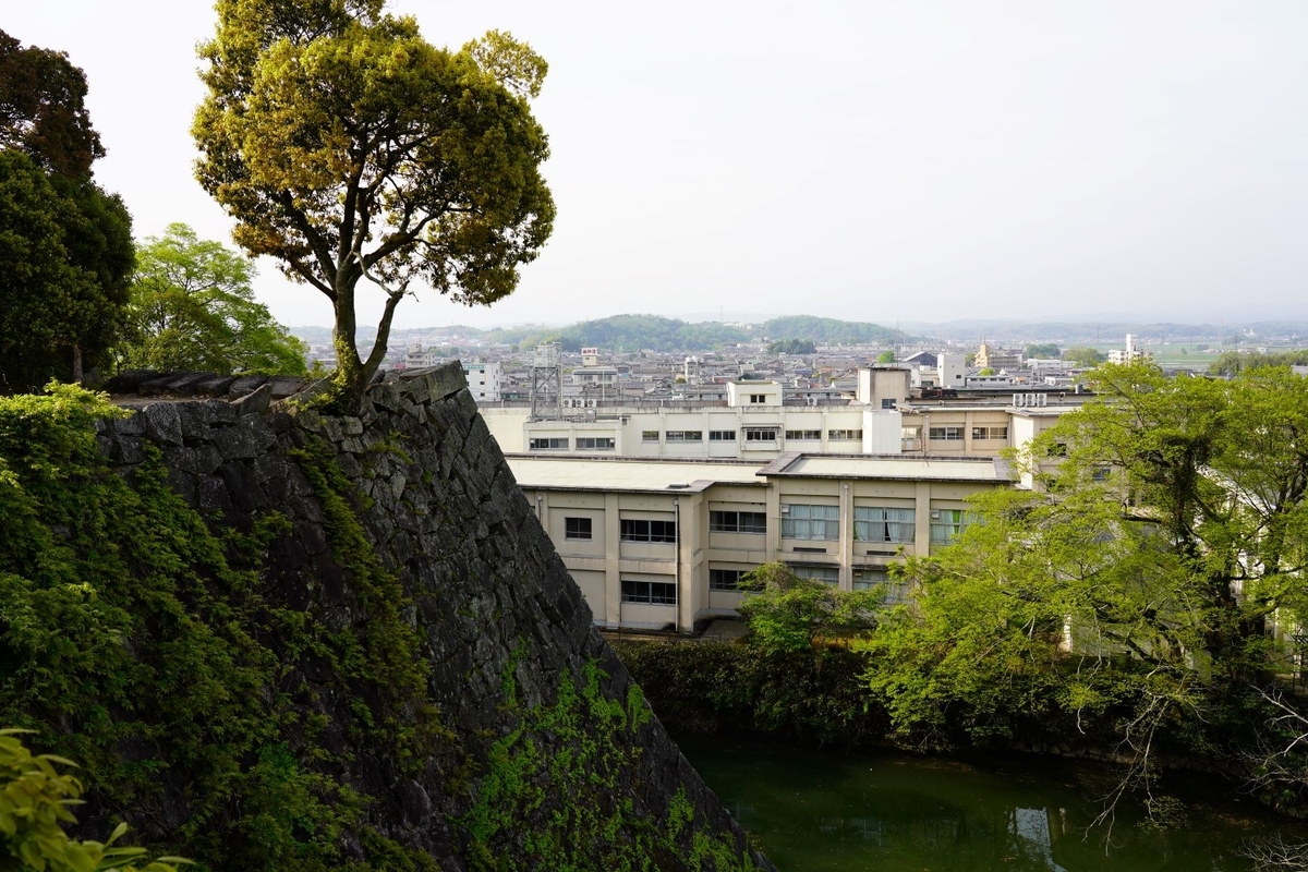 f:id:pony3:20190503143103j:plain f:id:pony3:20190503143103j:plain