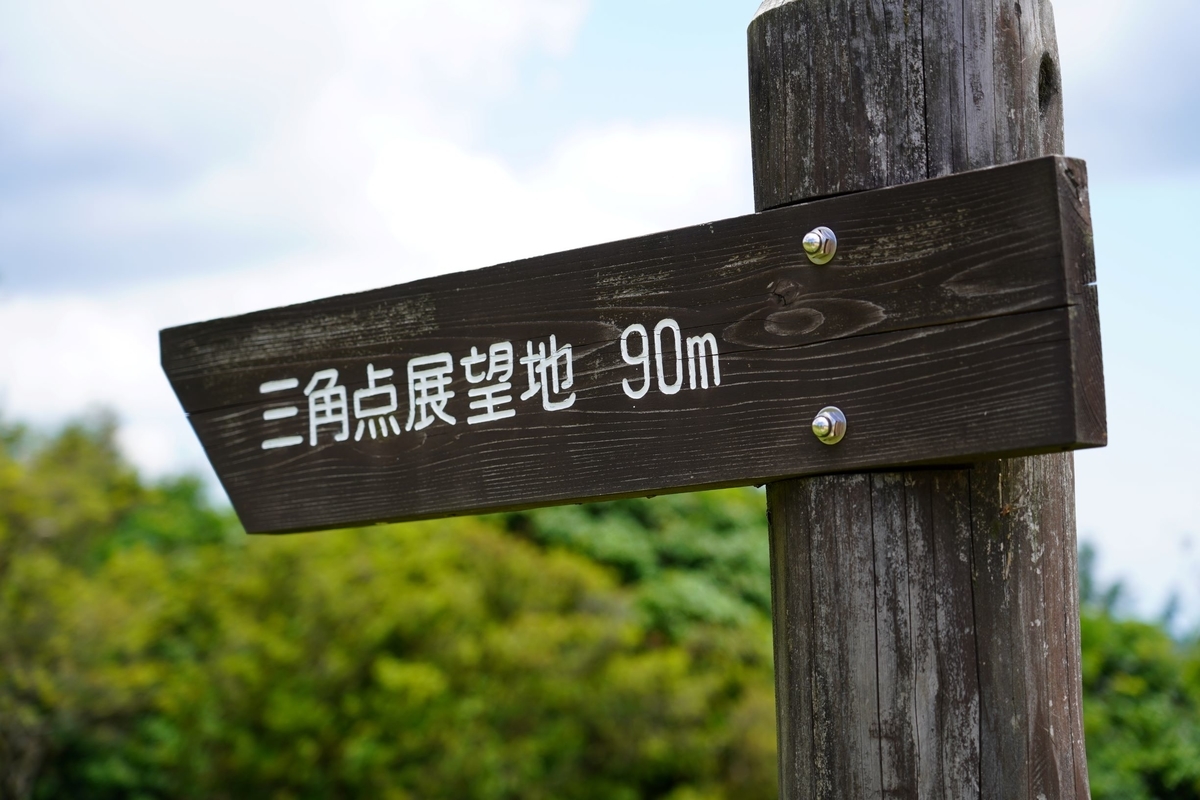 f:id:pony3:20190625211614j:plain