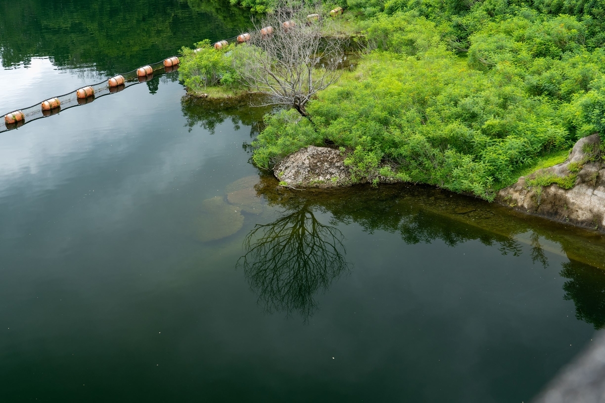 f:id:pony3:20190715215132j:plain