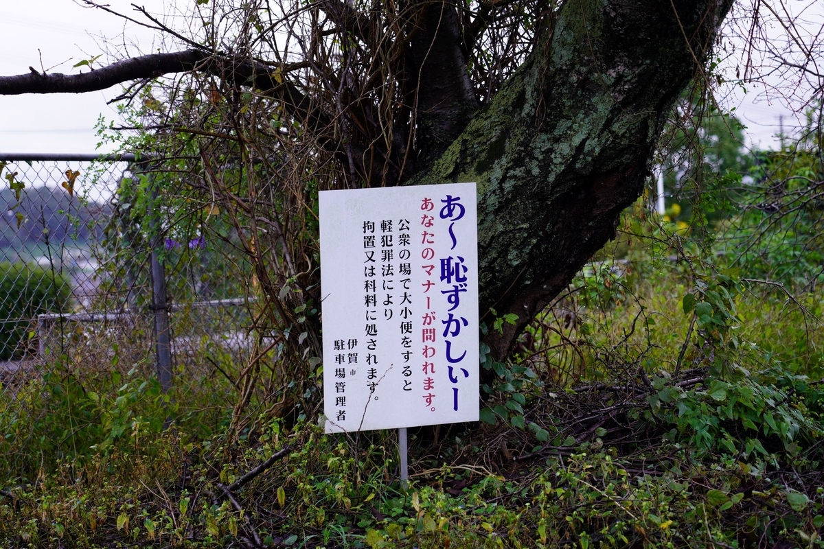 f:id:pony3:20191103124827j:plain