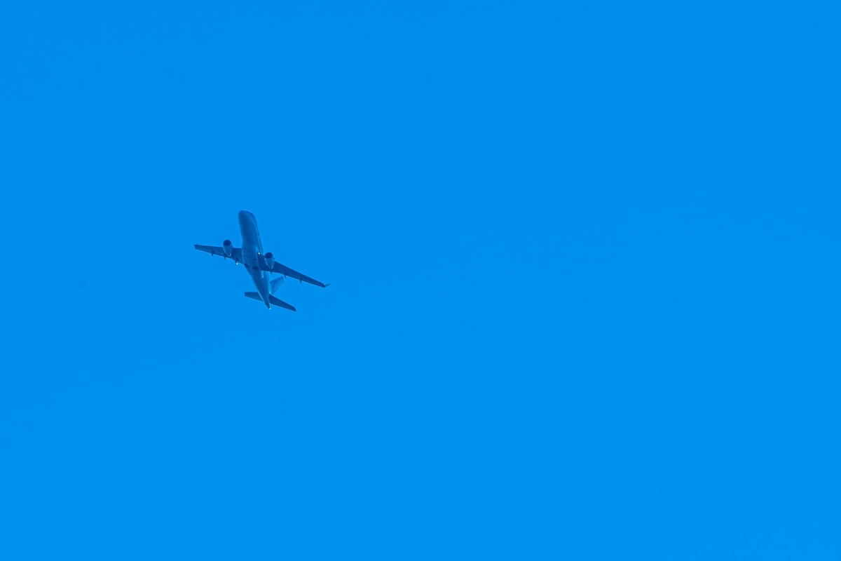 f:id:pony3:20191116221632j:plain