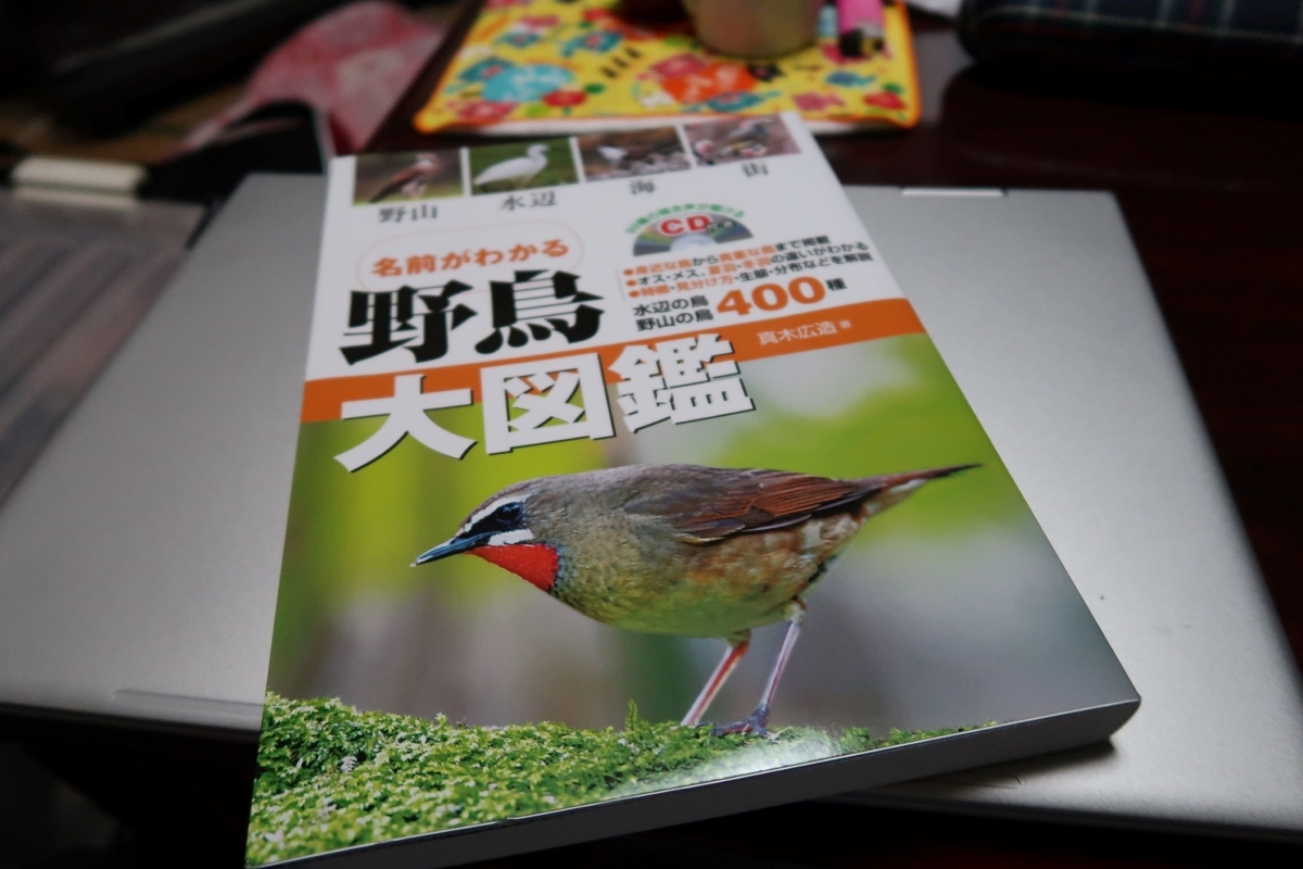 f:id:pony3:20191121214358j:plain f:id:pony3:20191121214358j:plain