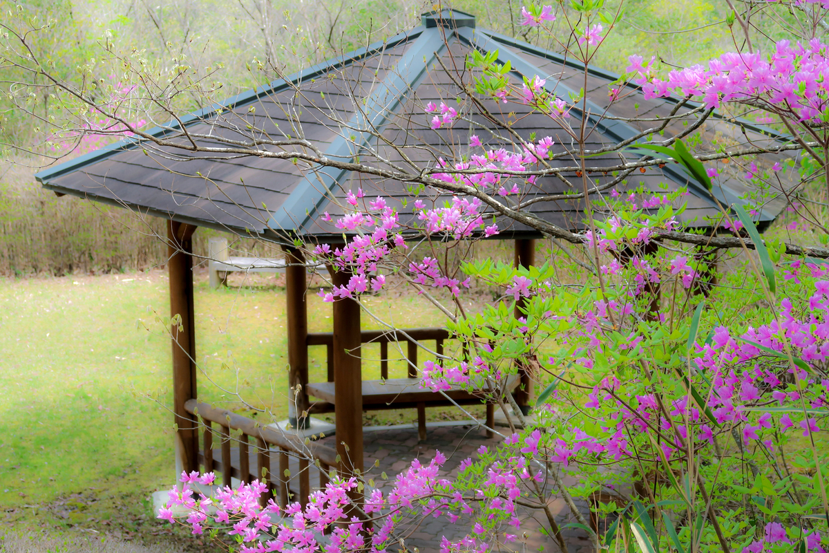 f:id:pony3:20200521150402j:plain