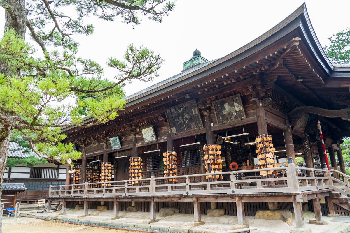 f:id:pony3:20200909085522j:plain f:id:pony3:20200909085522j:plain