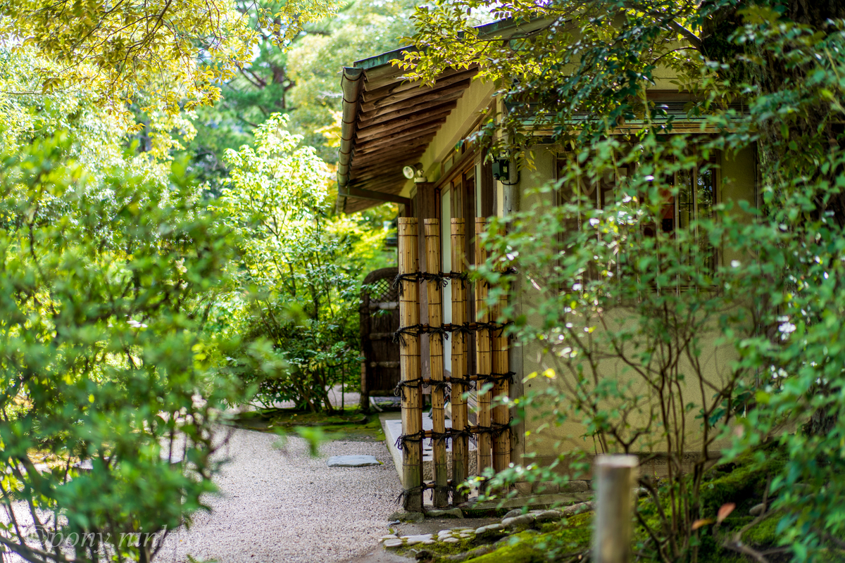 f:id:pony3:20200909175841j:plain