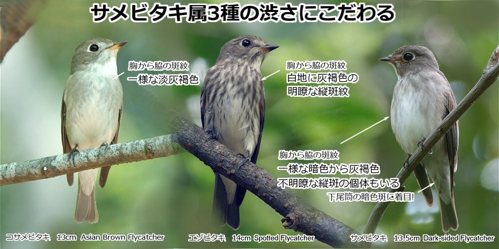 f:id:pony3:20200919211655j:plain f:id:pony3:20200919211655j:plain