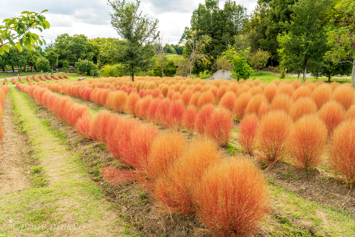 f:id:pony3:20200930175613j:plain