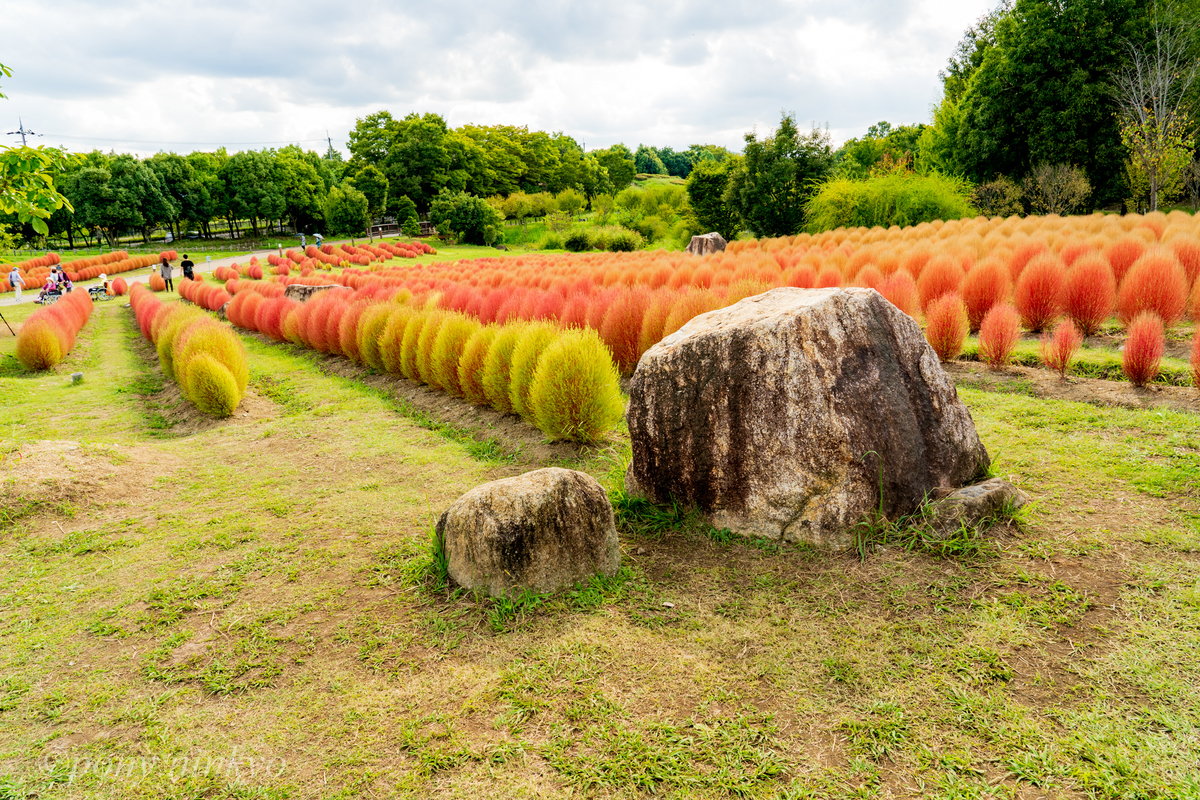 f:id:pony3:20200930175707j:plain