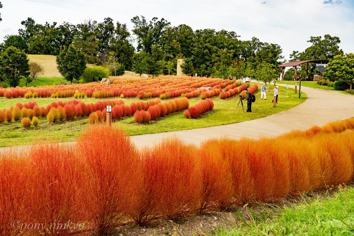 f:id:pony3:20200930175752j:plain