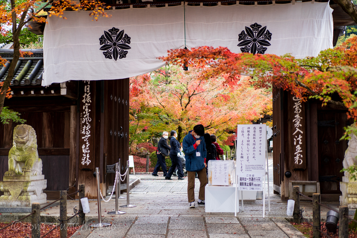 f:id:pony3:20201127063011j:plain