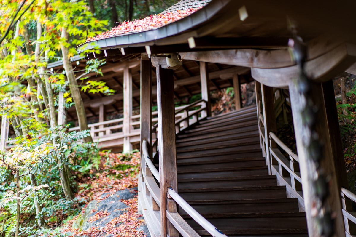 f:id:pony3:20201127063056j:plain