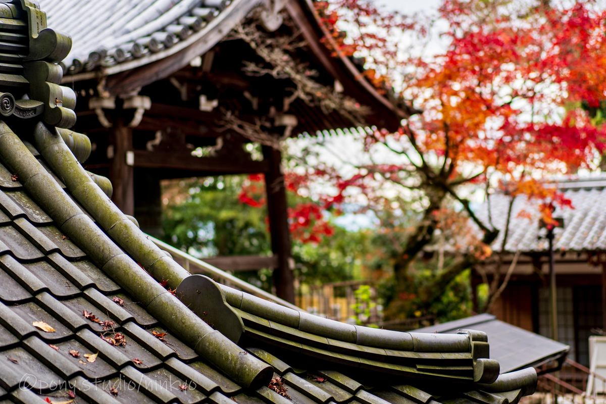 f:id:pony3:20201127063227j:plain