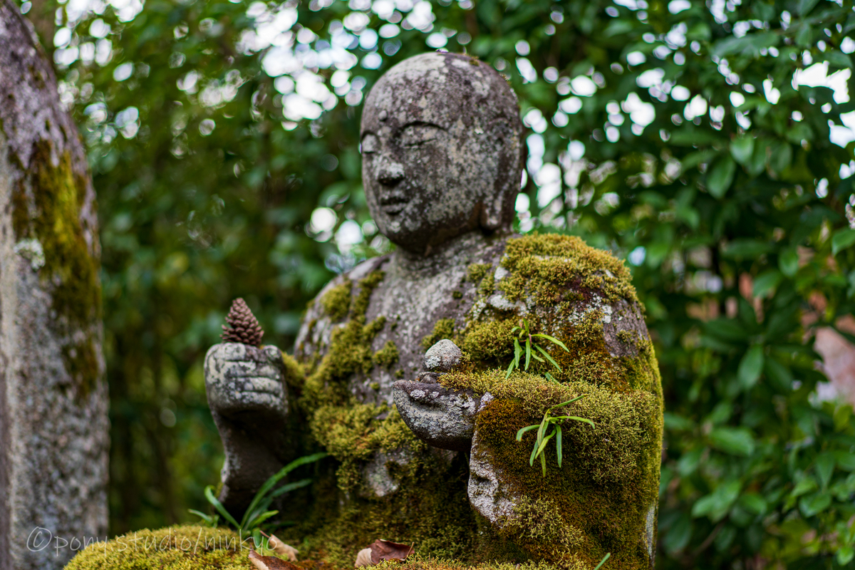 f:id:pony3:20201127063335j:plain