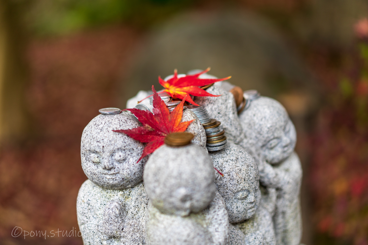 f:id:pony3:20201127063355j:plain