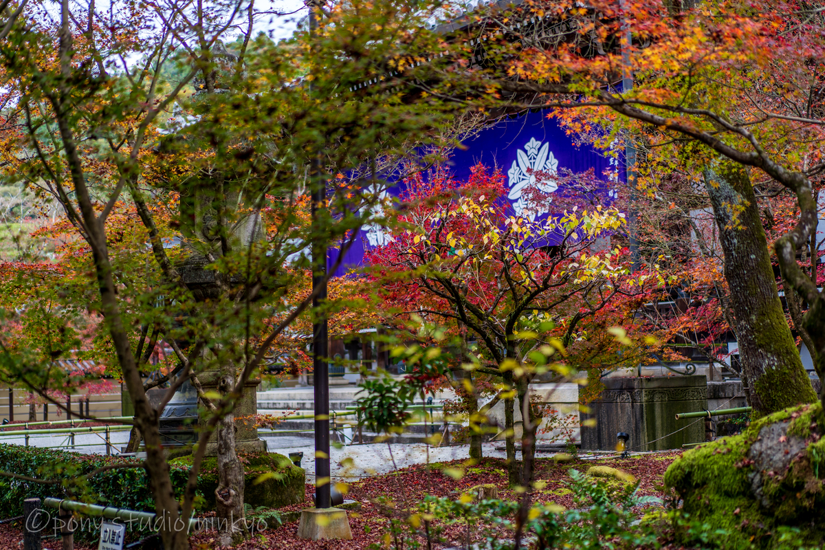 f:id:pony3:20201127063449j:plain