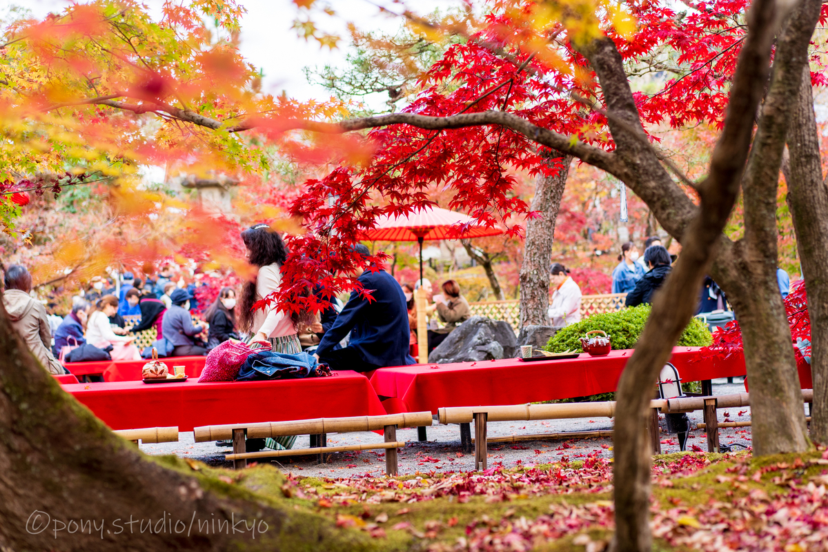 f:id:pony3:20201127063802j:plain