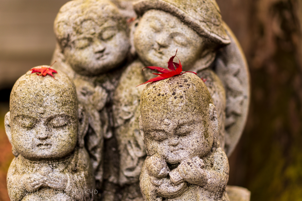 f:id:pony3:20201127063845j:plain