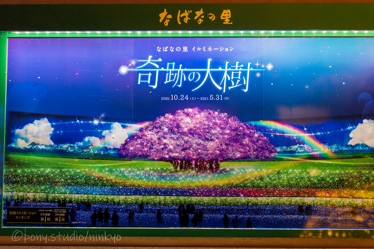 f:id:pony3:20201220083147j:plain