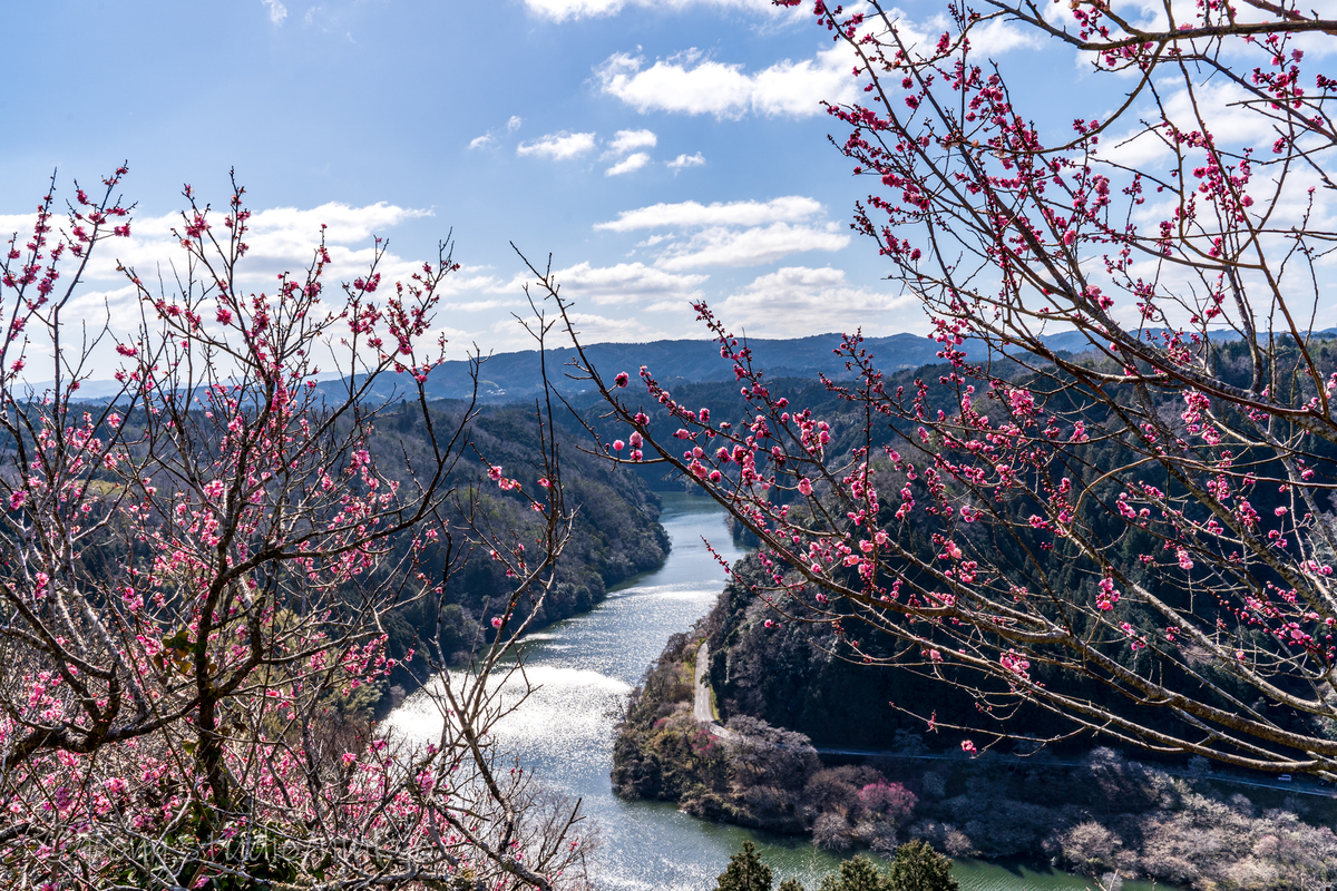 f:id:pony3:20210303172931j:plain