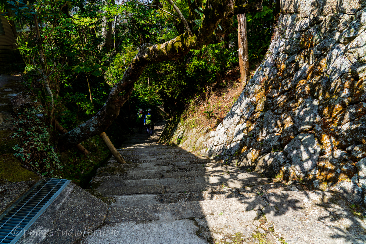 f:id:pony3:20210323173439j:plain