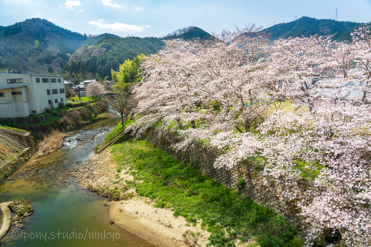 f:id:pony3:20210323173634j:plain