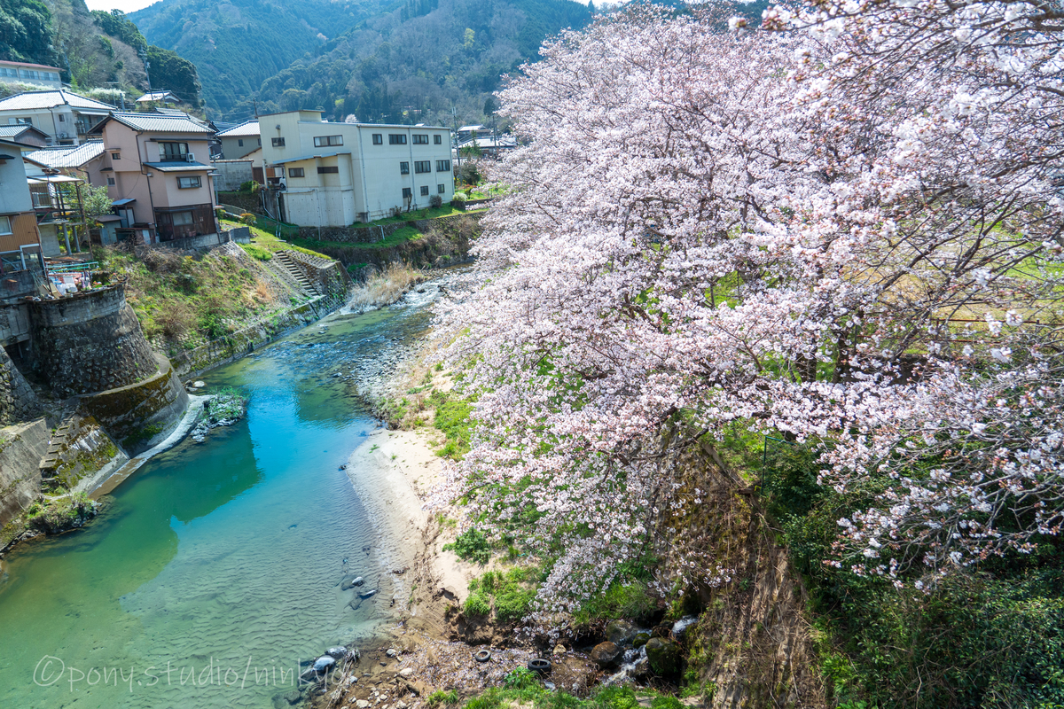 f:id:pony3:20210323173652j:plain