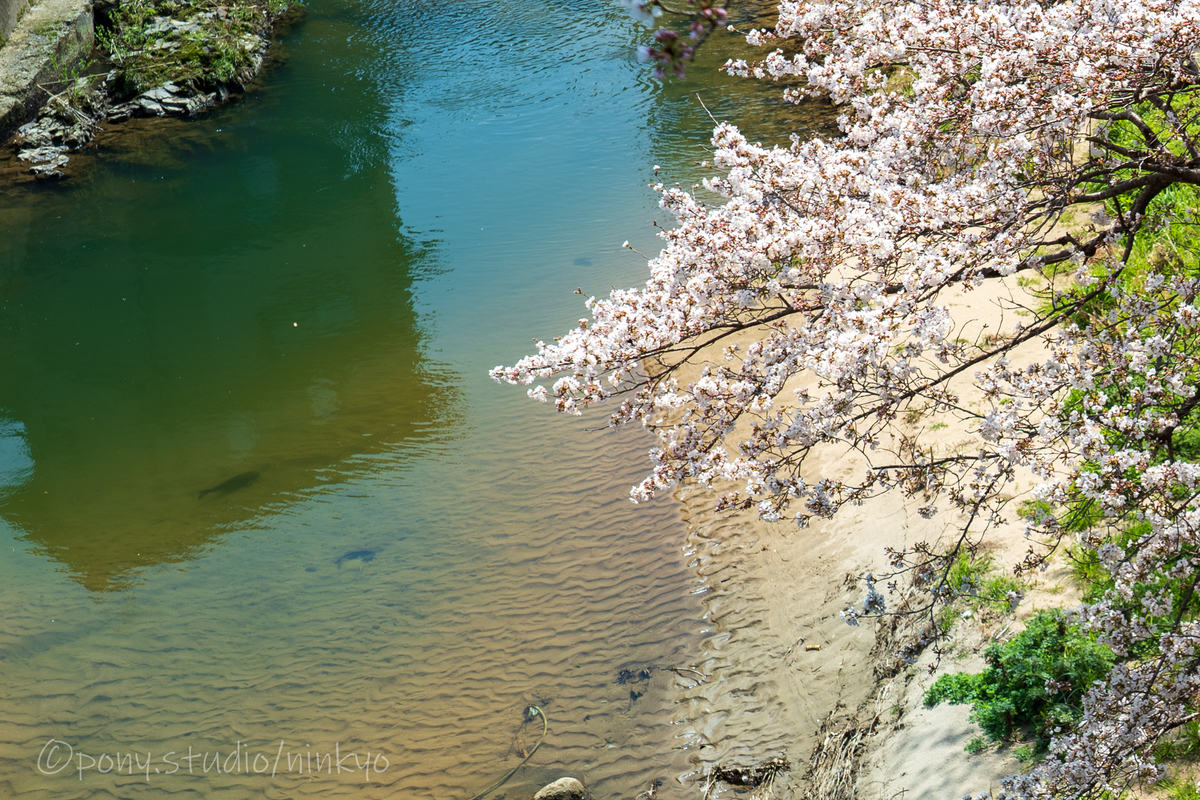 f:id:pony3:20210323173803j:plain