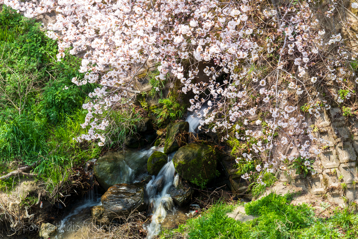 f:id:pony3:20210323173823j:plain