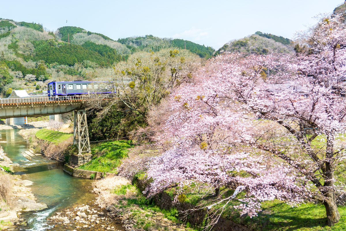 f:id:pony3:20210323173928j:plain