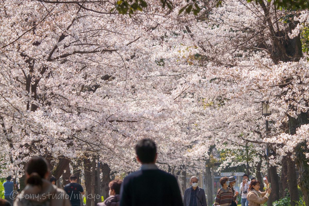 f:id:pony3:20210326224026j:plain