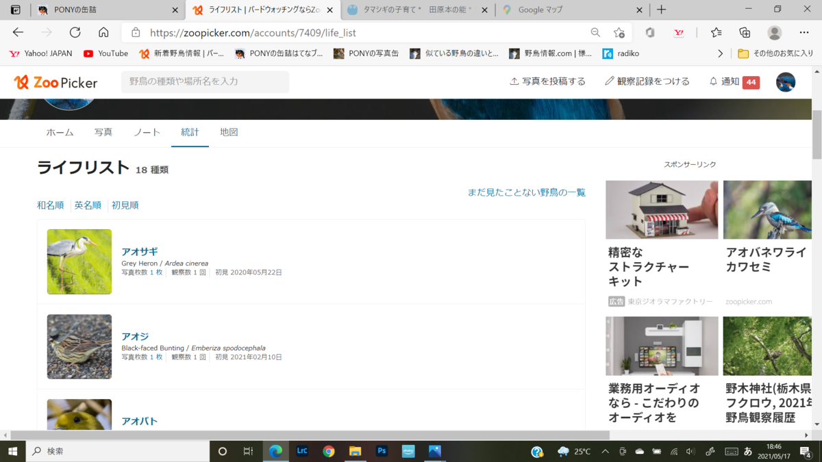 f:id:pony3:20210517184843p:plain
