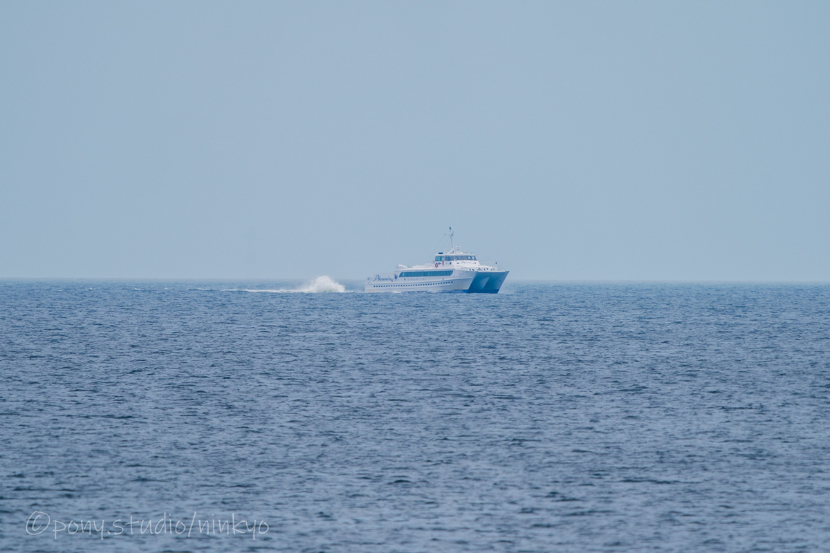 f:id:pony3:20210523190436j:plain