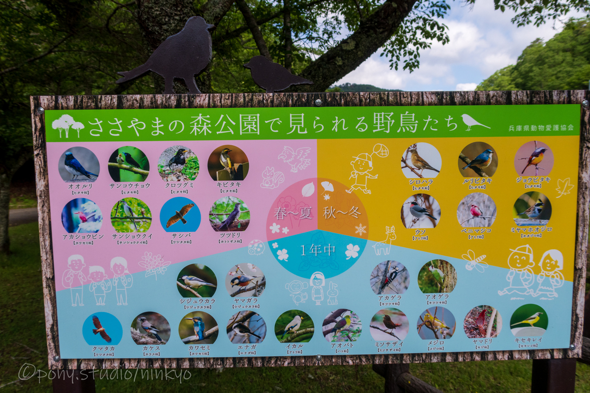 f:id:pony3:20210524192822j:plain