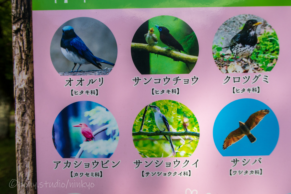 f:id:pony3:20210524192842j:plain