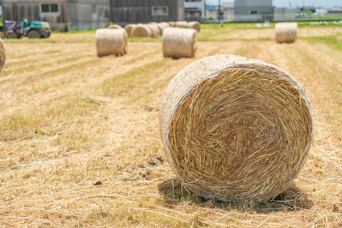 原風景シリーズ藁ロール Ponyの缶詰 原風景シリーズ藁ロール Ponyの缶詰