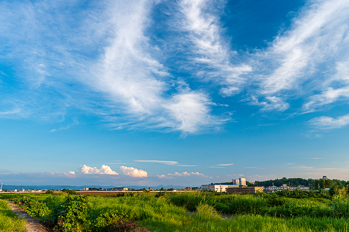 f:id:pony3:20210831201354p:plain