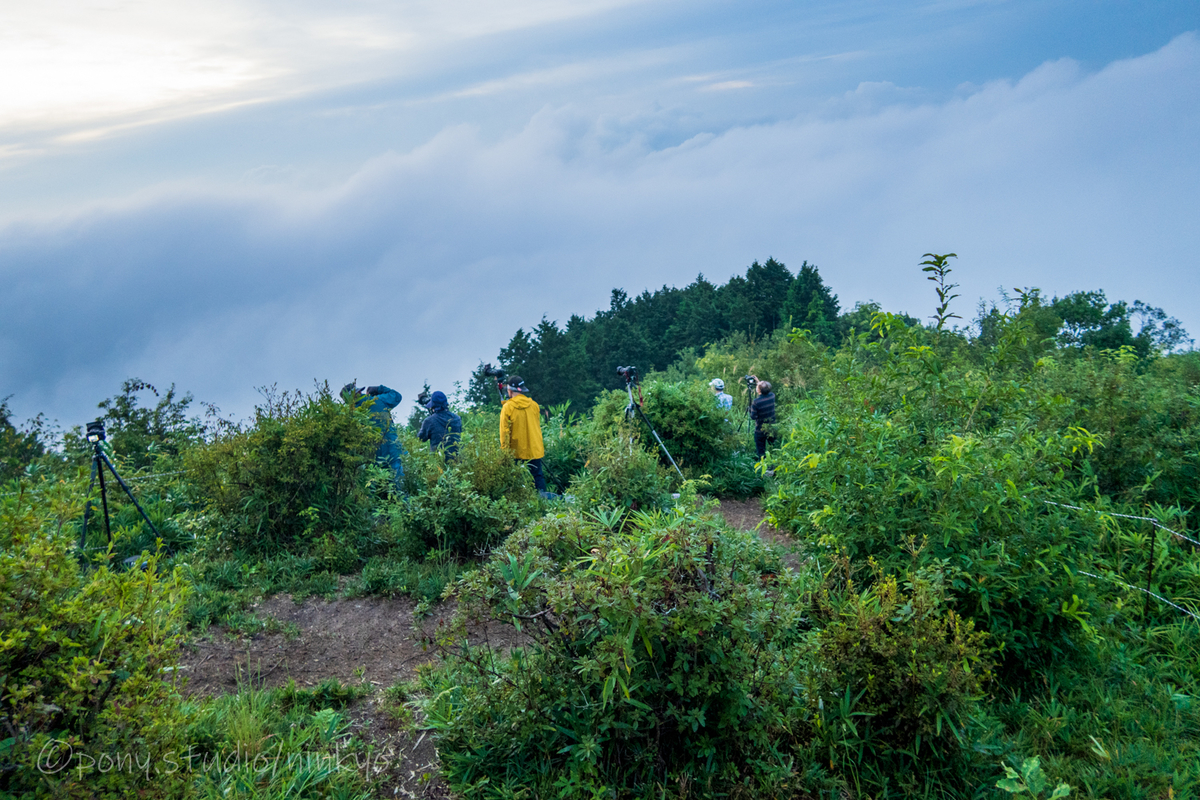 f:id:pony3:20210913105518j:plain