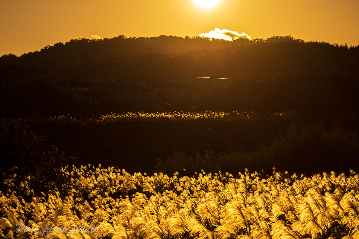 f:id:pony3:20211026190141j:plain