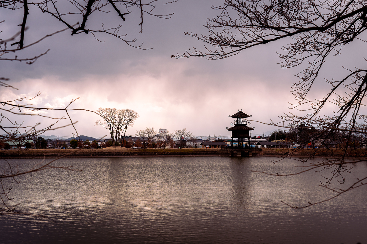 f:id:pony3:20220120170939j:plain